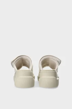 Cph836 Nappa