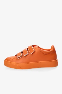 Cph429 Soft Vitello