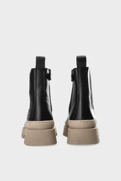 Cph686K Vitello